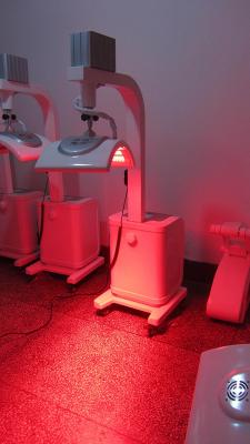 China Máquina PROFISSIONAL da lâmpada da beleza do rejuvenescimento da pele da luz PDT do diodo emissor de luz à venda