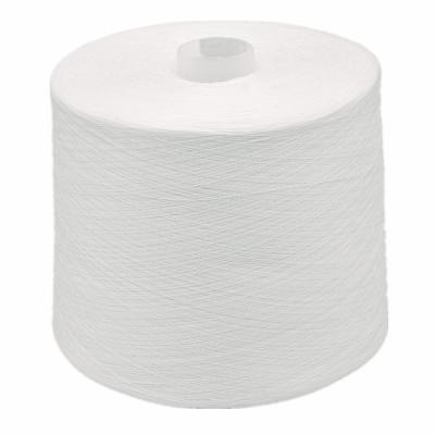 China Fine Evenness Eco Friendly Yarn , Customized High Tenacity 100 Spun Polyester Yarn for sale