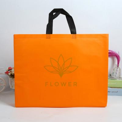 China Double Handle Bolsa No Tejida Reutilizable Tnt Bags Personalized Non Woven Bags Printing Logo for sale