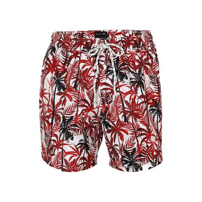 China Men's Breathable Stretch Swim Shorts Swim Trunks Summer Beach Panel Quick Dry Shorts for sale