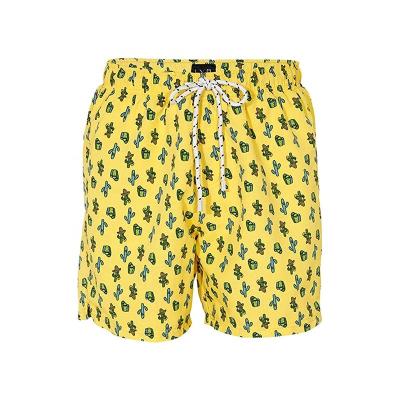 China Plus Size 2022 Summer Trend Hot Fashion Custom Printed Beach Pants Men's Waterproof Board Shorts Swim Trunks for sale