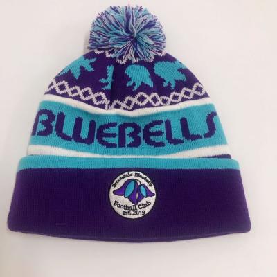 China 2021 new fashion JOINT hot sale winter sports beanies with custom embroidery for football teams for sale