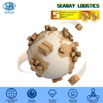 China Professional Shipping Agent From Shenzhen Guangzhou Zhejiang Qingdao Xiamen China To Egypt Sokhna Cairo Damietta Adabiya for sale