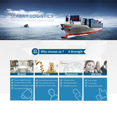 China DDP Freight Forwarder China Air Sea Agent To India India Carrier Sea Freight for sale