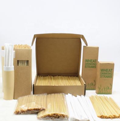 China New Product Disposable Ideas 2021 Eco Friendly Wheat Straws for sale