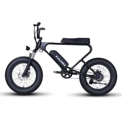 China Electrica 48v 500w/750w/1000w Steel TAIQI DK200 Bicicleta Fat Bike Retro Vintage 73 Seat Tire One Motor Style Electric Bicycle for sale