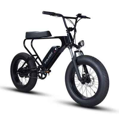 China Steel TAIQI DK200 2022 Fat Tire Vintage 48V 500w 750w Lithium Battery ebike City Super 73 Electric Bike Retro Fat for sale