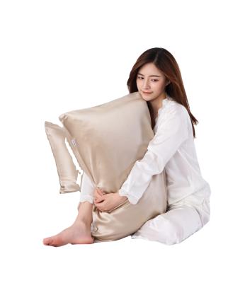 China 2021 Anti-Static Pillow Case for Hair and Skin Queen Silk Pillowcase 2 Packs for sale