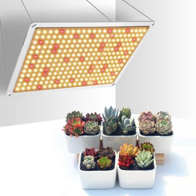 China Seed Starting LEARNEW Newest Full Spectum Economical 200W 100W 480W 600W Dimmable LED Grow Lights For Vertical Farm Horticulture for sale