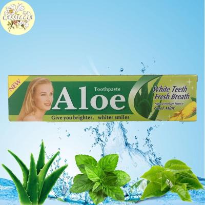 China Factory Wholesale 105g OEM Whitening Customized Private Logo Mint Flavor Whitening Aloe Vera Toothpaste for sale