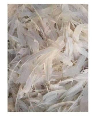 China Natural goose feather badminton shuttle goose feather shuttlecock pure white badminton XS006 for sale