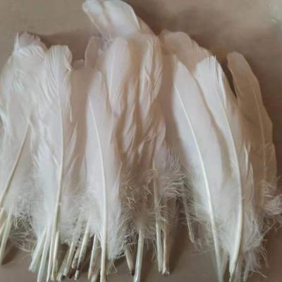 China Pure White Natural Goose Feather For Shuttlecock Badminton XS006-2 Washed And Dry Good Quality for sale