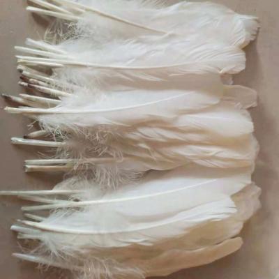 China Good Quality Pure White Badminton Shuttlecock Duck Feather Natural Duck Feather Shuttlecock Badminton XS007-2 for sale