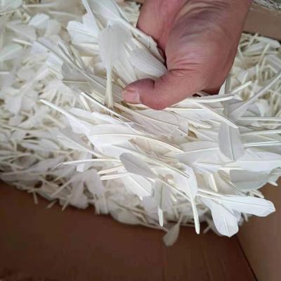 China Pure White Natural Cut Goose Feather For Shuttlecock Badminton High Quality Washed XS006-3 for sale