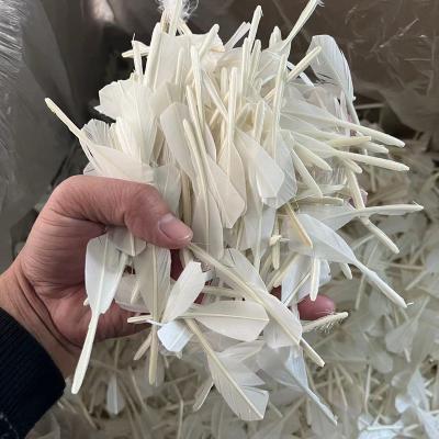 China Pure White Natural Cut Goose Feather For Shuttlecock Badminton High Quality Washed XS006-3-R for sale