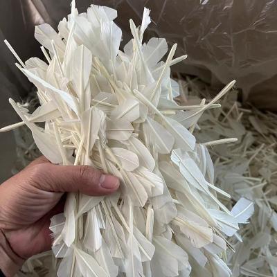 China Cut Natural Pure White Duck Feather For Badminton Shuttlecock Goose Feather Washed Good Quality XS006-1-R for sale