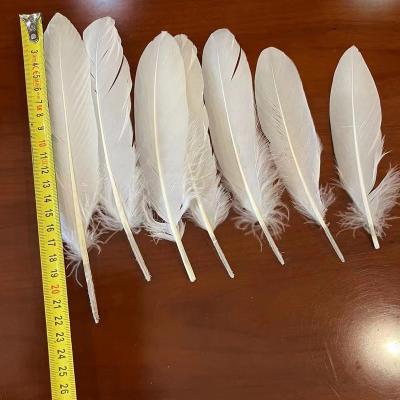 China Good Quality Straight Pure White Badminton Shuttlecock Duck Feather Natural Duck Feather Shuttlecock Badminton XS008 for sale