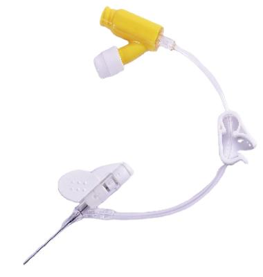 China Build Peripheral Venous Disposable Intravenous Access Catheter/IV Cannula Intravenous Catheter /Sealed for sale