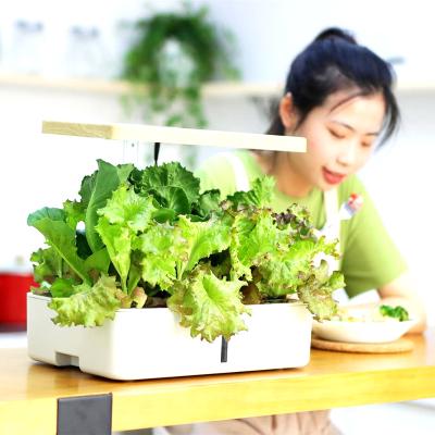 China 2021 Eco-friendly Full System WIFI Hydroponic Remote Control Plant Grow Box For Vegetable Growing In Home Decoration for sale