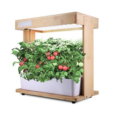 China Hydroponic Farm Growing Equipment Eco - Friendly Indoor Grow Kit Hydroponic Grow Systems With LED Grow Light for sale