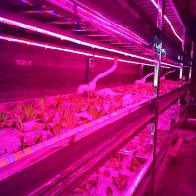 China Eco-friendly greenhouse hydroponic systems led grow light housing t5 t8 90cm 120cm grow light fixture for greenhouse for sale