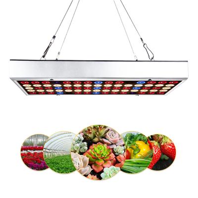 China Led Seed Starting Grow Light, 25 Watt LED Grow Lights For Indoor Plants Full Spectrum Dimmable Growing Lamps For Grow Veg for sale