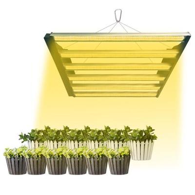 China Fruit Vegetable Greenhouse Flower Grow Lights Grow Lighting 300W Led Grow Light Bar Full Spectrum DC 24V Grow Light Led For Hydroponics System for sale