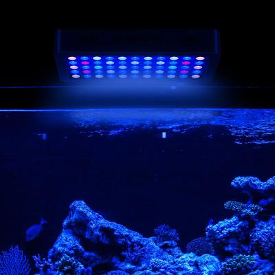 China Aquarium Lights Item Type Aquarium Lights and Cool White 14000K Color Temperature Led Aquarium Light for sale