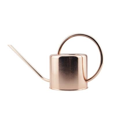 China Reusable Watering Can Flower Pot Round Cylinder Rose Gold Stainless Steel Watering Can Long Spring Watering Can Metallizing Color for sale