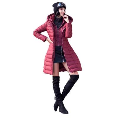 China New Design Solid Color Breathable Breathable Acetate Fiber Slimming To Hold Hooded Warm Women's Coat for sale