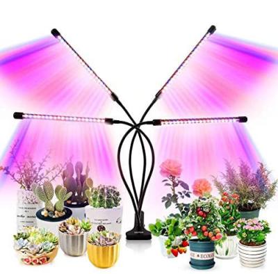 China 10 Levels Dimmable Plant To Grow Light LED Growing Light Full Spectrum For Indoor Plants With Timer Plant Growing Lamp For Seedlings 4 5 Modes Setting for sale