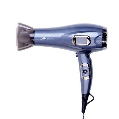 China Weighthair High Quality Ionic Light Dryer Professional Salon Hand Hair Dryer for sale