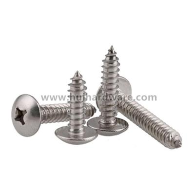 China Flat Pan Head DIN7981DIN7982 DIN7983 Stainless Steel Screw Flat Head Pan Head Self Tapping Screw for sale