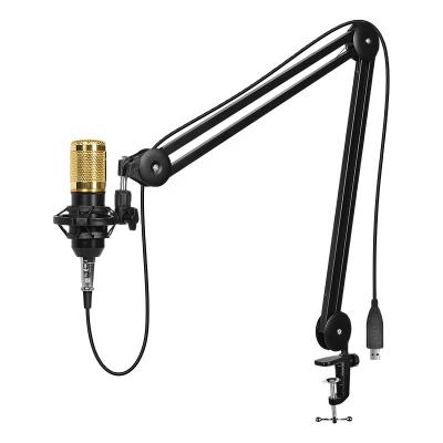 China High End Design Professional Flexible Arm Mic Stand Microphone Pick Up / Flexible Arm Mic Swing Stand Scissor Suspension for sale