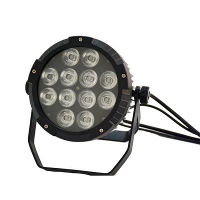 China Garden LED Par Light 12 Pcs 10W RGBW Waterproof Led DJ Stage Lighting DJ Light for sale