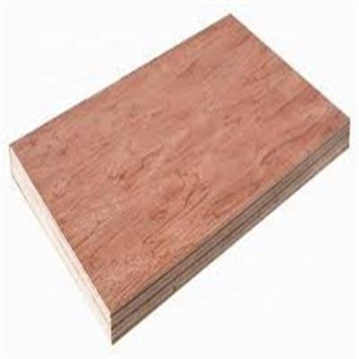 China Melamine industrial glue core poplar plywood commercial bintangor plywood for sale