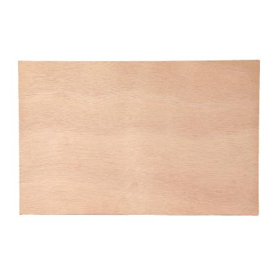 China 12mm Plywood Sheet Poplar Industrial High Quality Bintangor Okoume Commercial For Furniture for sale