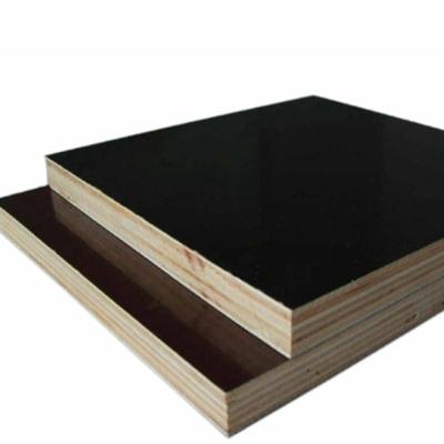 China Factory 1220x2440x18mm Modern Wood Common Whole Wood Birch Poplar Film Core Board Finger Veneer Natural NC; NHS for sale