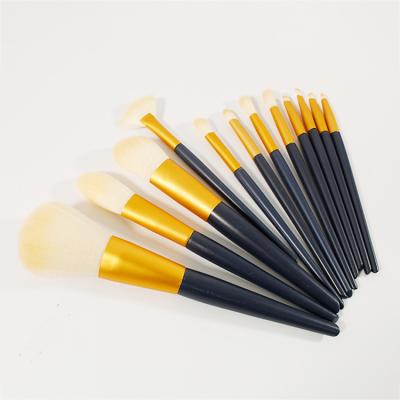 China Mini Soft Small 12pcs Wide Flat Fan Makeup Brush Pink Set Color Goat Hair Brush 2023 for sale