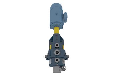 중국 단일 연산 손 통제 전기 두 배 원판 정제 기구 450 - 864 mm 판 Dia 판매용