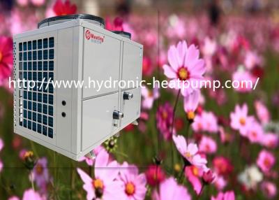 China Meeting 36.8kw Air To Water Heat Pump For Flower Farming Green House Energy Saving for sale