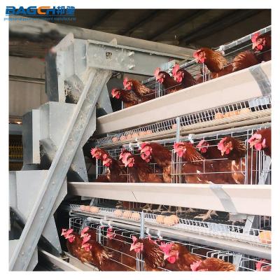 China Cultivate Layer Chicken Cage Poultry Farm Automatic Chicken Cage For Sale Layer Poultry Cage for sale