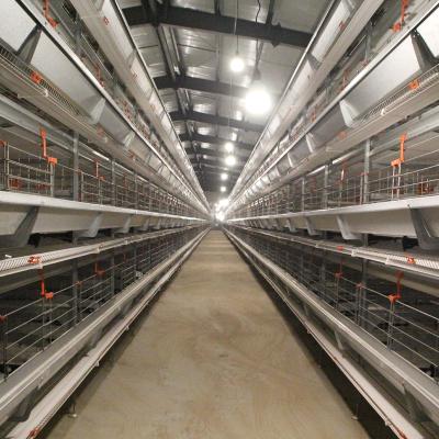 China Automatic Farms Poultry Farm Chicken Battery Cage Chicken Cage Egg Layer for sale