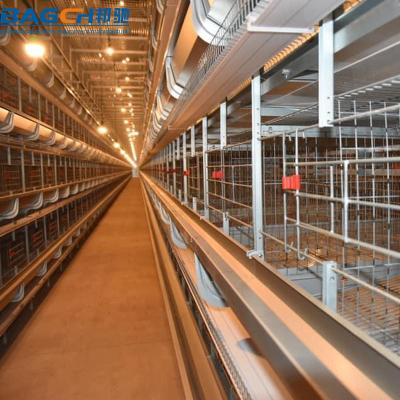 China Layer Chicken Farming Fully Automatic Complete Layer Chicken Poultry Cage Battery Type for sale