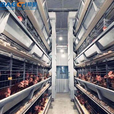 China Full Automatic Chicken Laying Cage Factory Price Poultry Feed Layer Chicken Cage System For Sale for sale