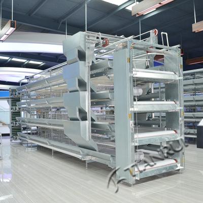 China Full Automatic Broiler Bangchi Series Automatic Broiler Feeding Cages For Sale for sale