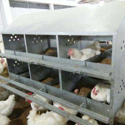 China Hot Sale 24 Holes Easily Clean Breeder Hens Laying Nest Box for sale