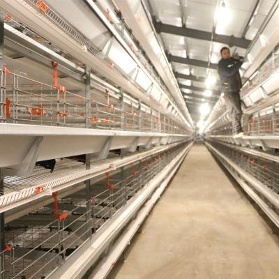 China Equipment Farms Poultry Farm Battery Roll Over Automatic Laying Hen Battery Chicken Layer Cages for sale