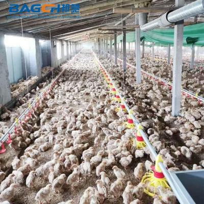 China Durable Used Poultry Farm Broiler Equipment System Automatic Feeding Pan Feeding System For Broiler Home for sale