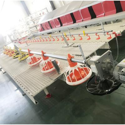 China Durable Used Broiler Automatic Feeding Line Poultry Equipment Suppliers Broiler Feeding Lines South Africa for sale